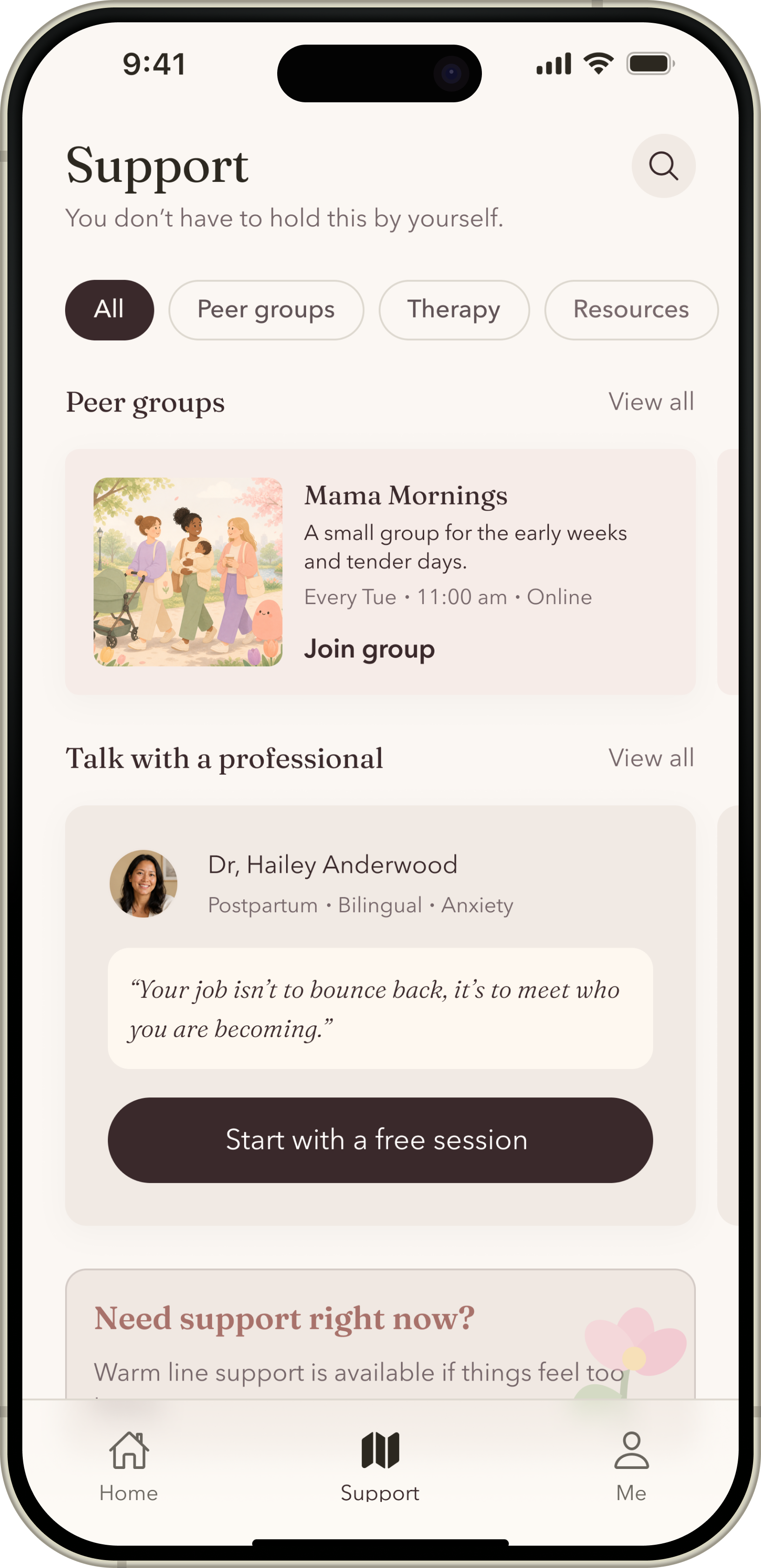 Professional support screen